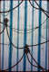 Aged, blue and white vertically striped wallpaper with brown and green coiled ropes intersecting and draping on top of each other. Three pulleys hold the ropes in place.