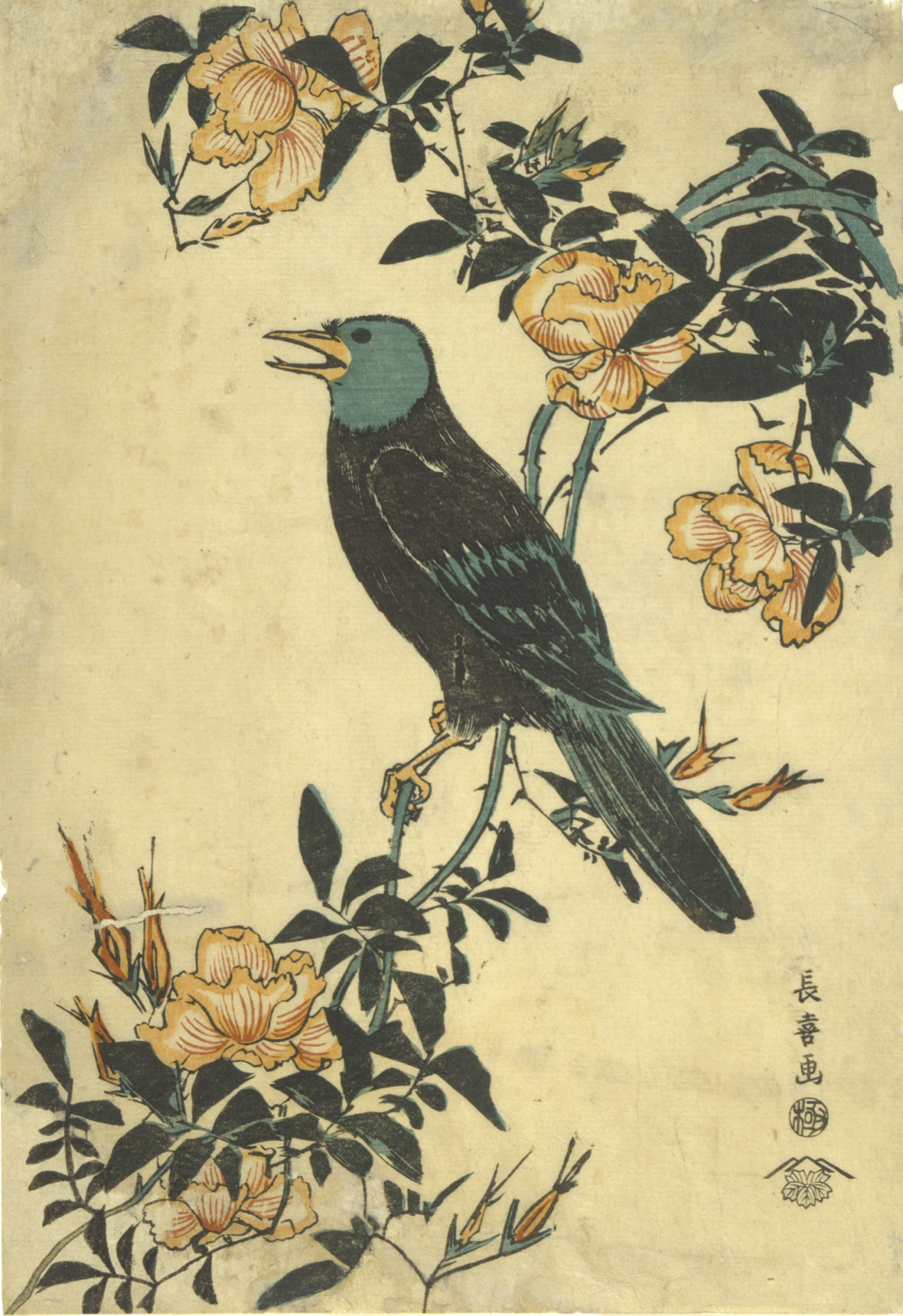 A black bird with a teal head perched on flowering vines with pale orange blossoms and dark green foliage, accented by vertical calligraphy on a pale background. 