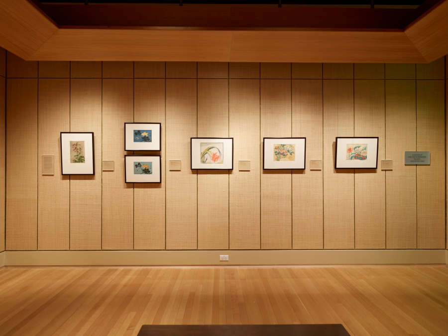 view exhibition image