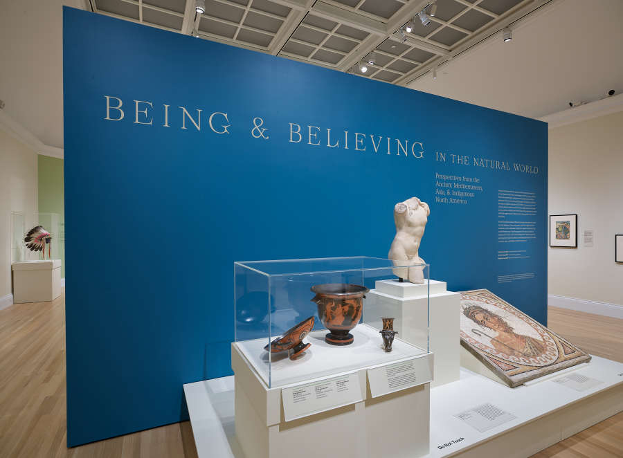 view exhibition image