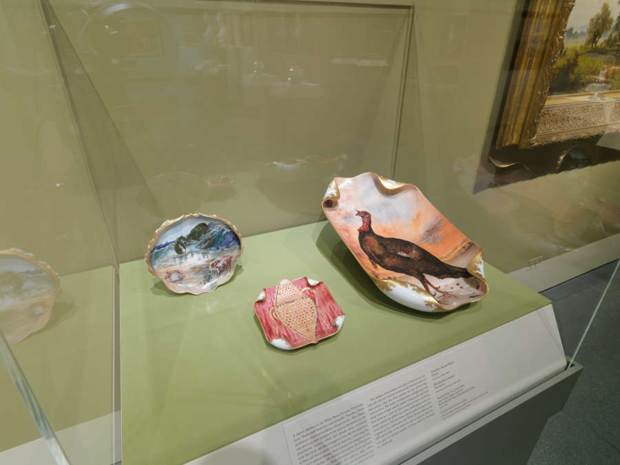 view exhibition image