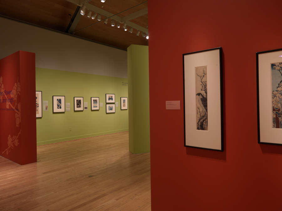 view exhibition image