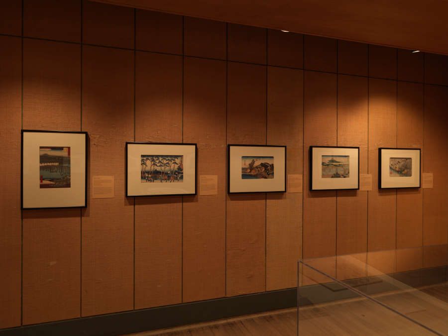 view exhibition image
