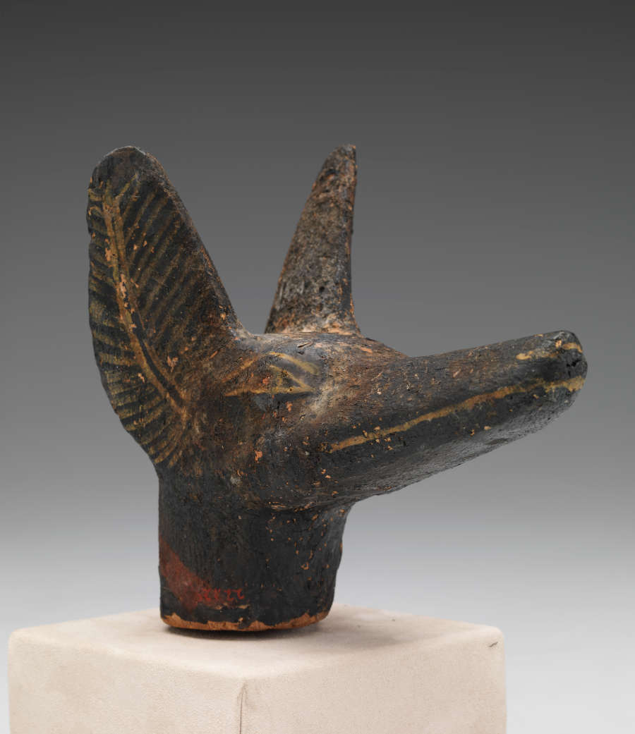 Dark brown sculpture of the head of a jackal. The ears are large and pointed and the snout is long and rather narrow. The worn surface shows hints of terracotta.