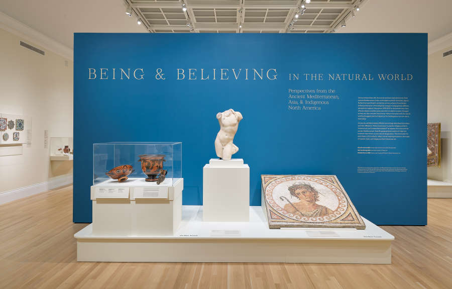 view exhibition image