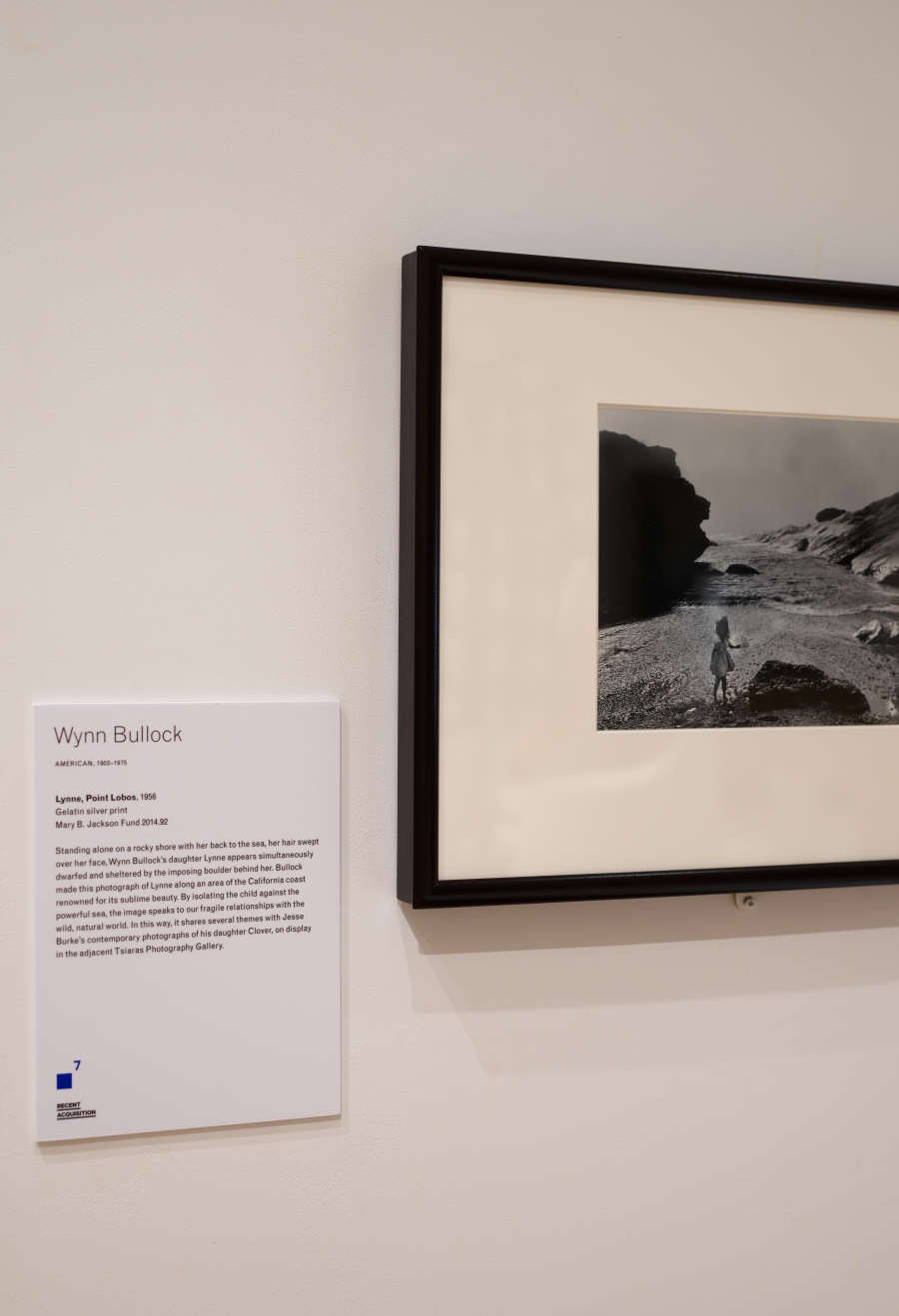 view exhibition image