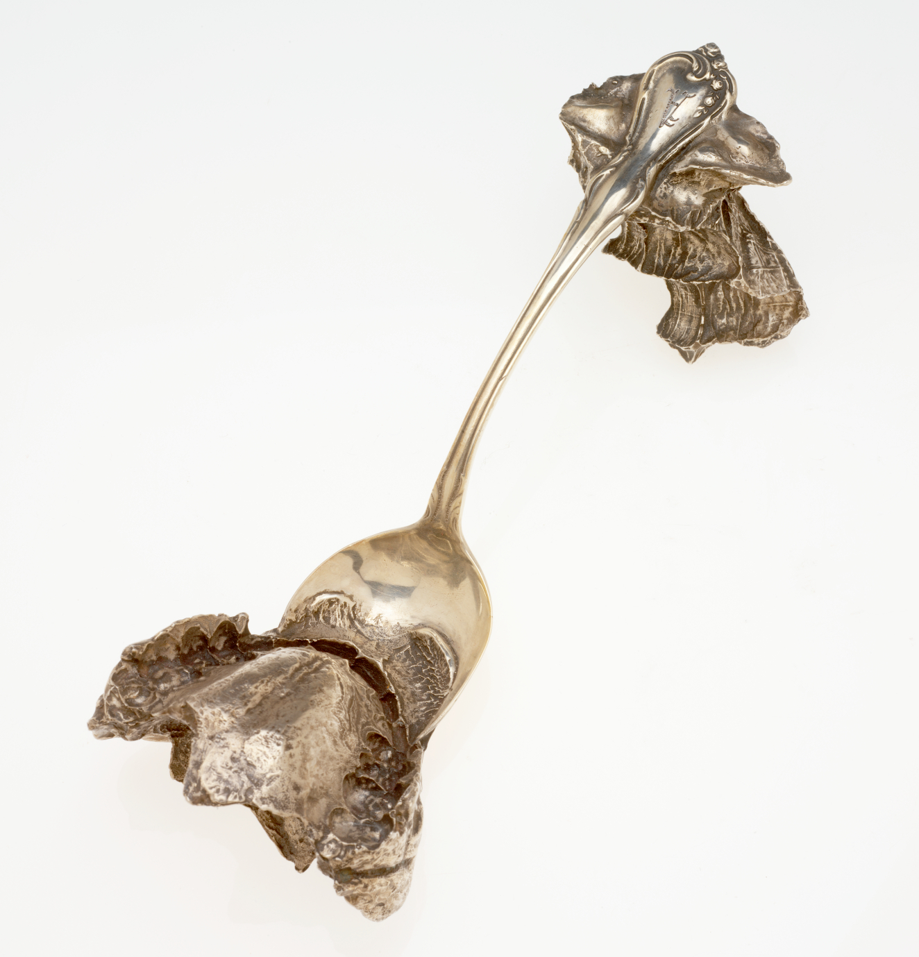 Silver spoon altered roughly at each end. Attached to the bowl is a clump that has been deeply bitten by a human mouth. The handle bears a smaller jagged form.
