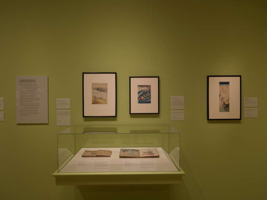 view exhibition image