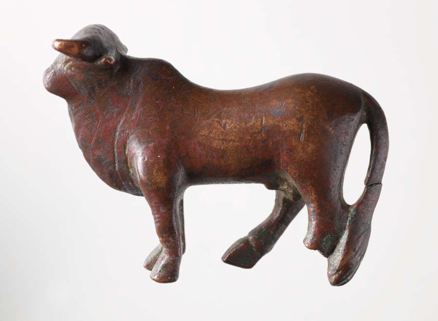 Side view of a standing bull with its characteristic tail and dewlaps against a Styrofoam white background. Above it is a white tag that reads “09 .005”.