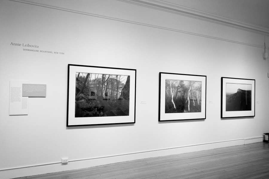 view exhibition image