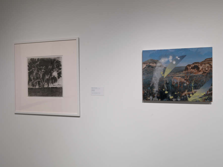 view exhibition image