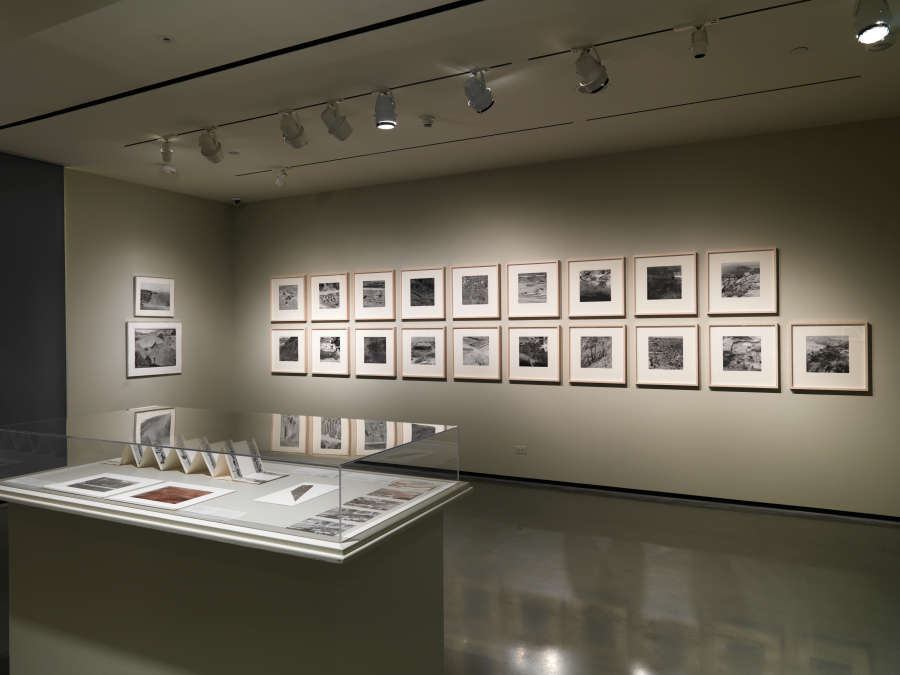view exhibition image