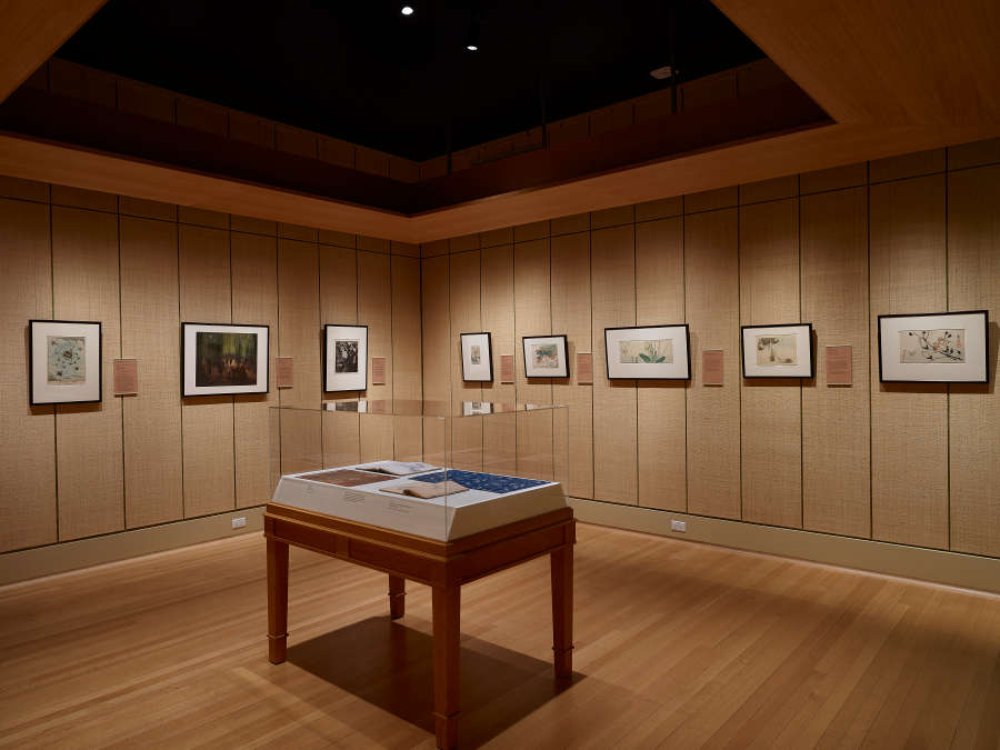view exhibition image