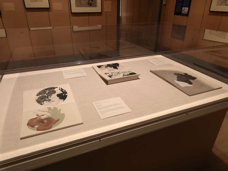 view exhibition image