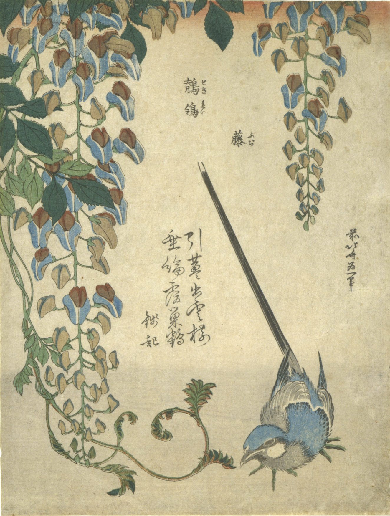 A long-tailed blue bird perched beneath drooping clusters of light blue blossoms and curling vines, accented by lines of vertical calligraphy against a pale beige background.