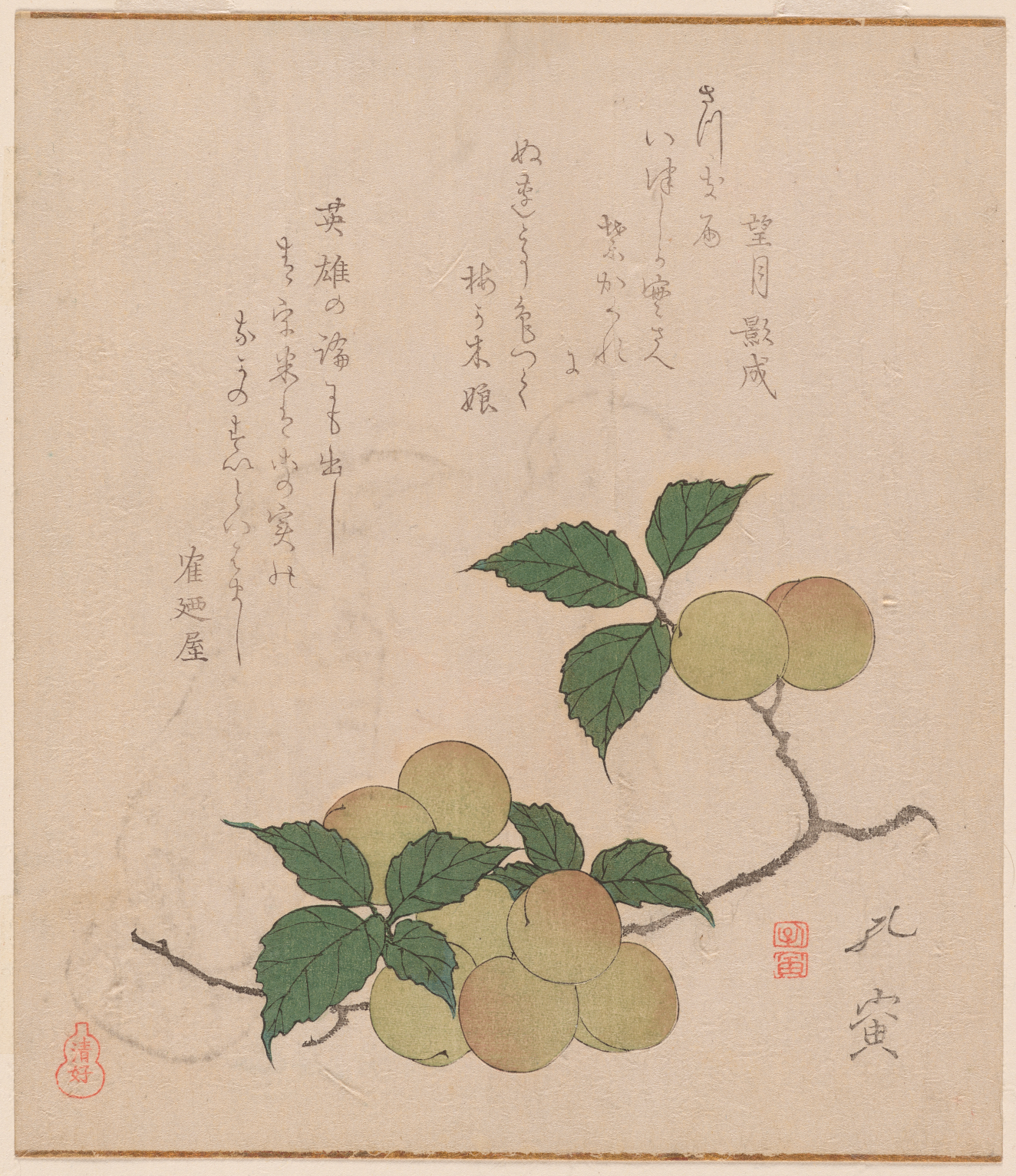 Delicate illustration of a branch of pale plums and green leaves below columns of calligraphy.