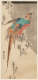 A colorful bird with long tail feathers, perched on a snow-covered slope among small pine branches against a gray sky.