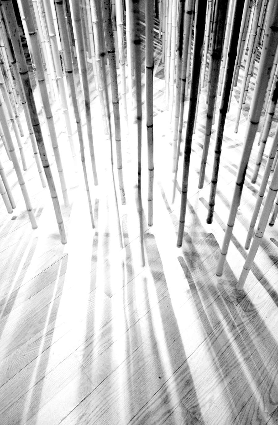 view exhibition image