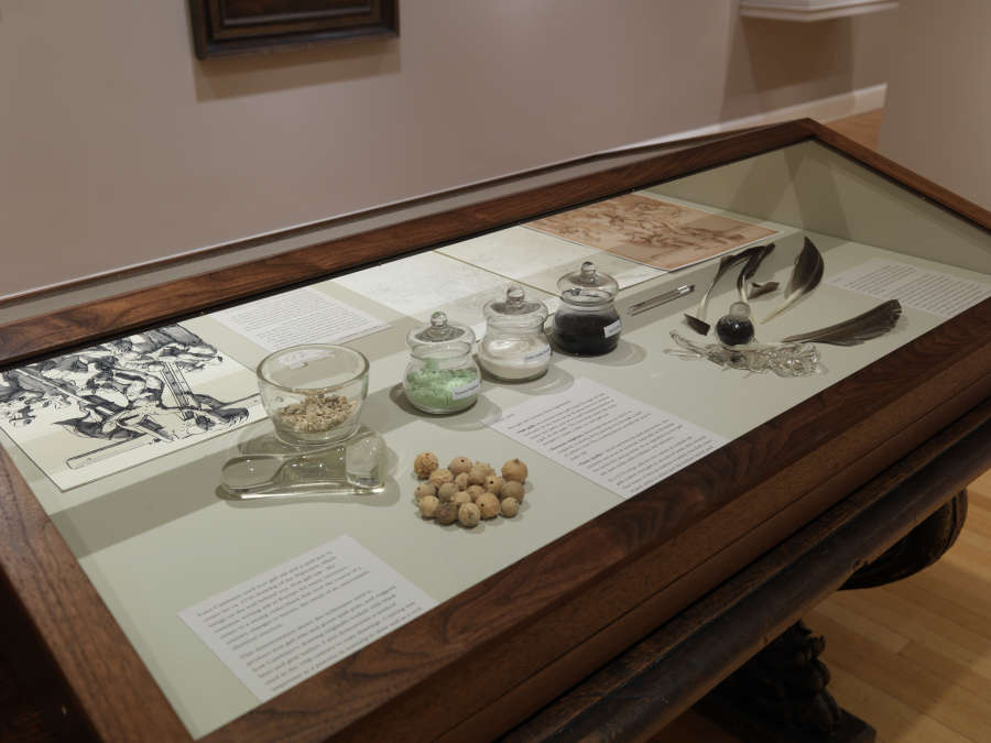 view exhibition image