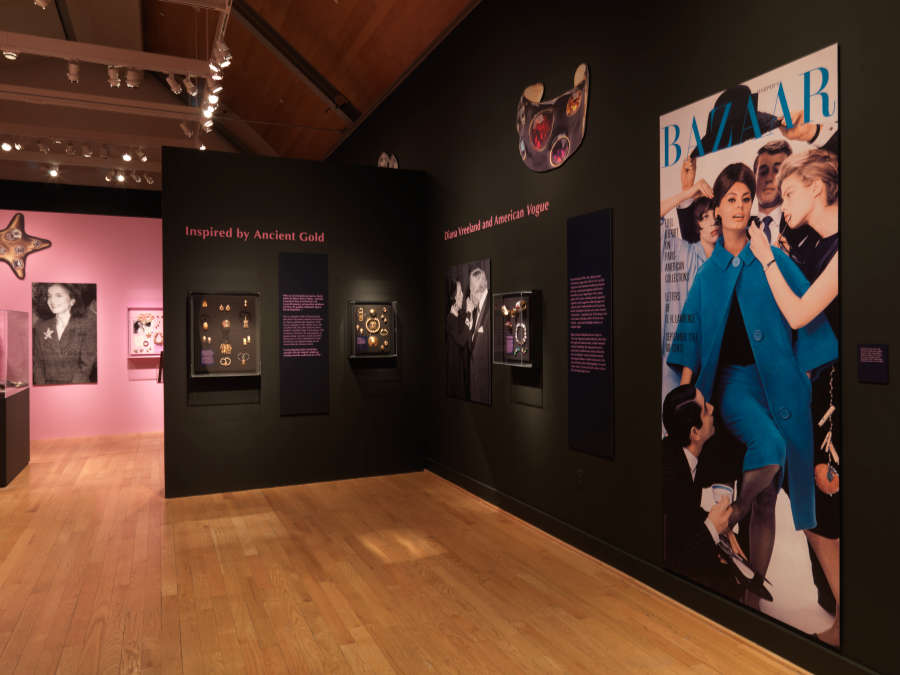 view exhibition image