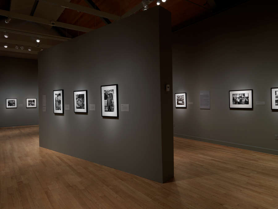 view exhibition image