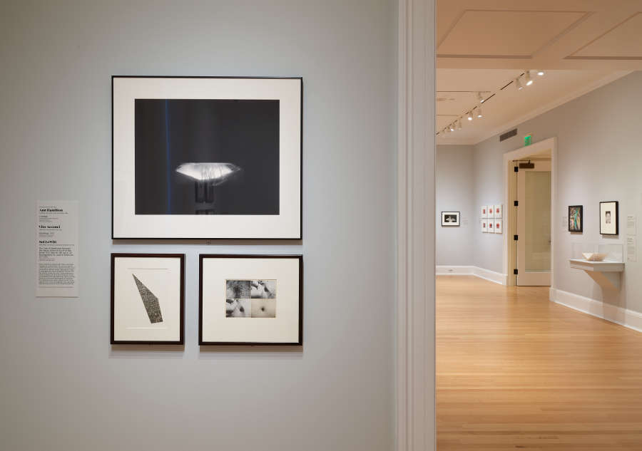 view exhibition image