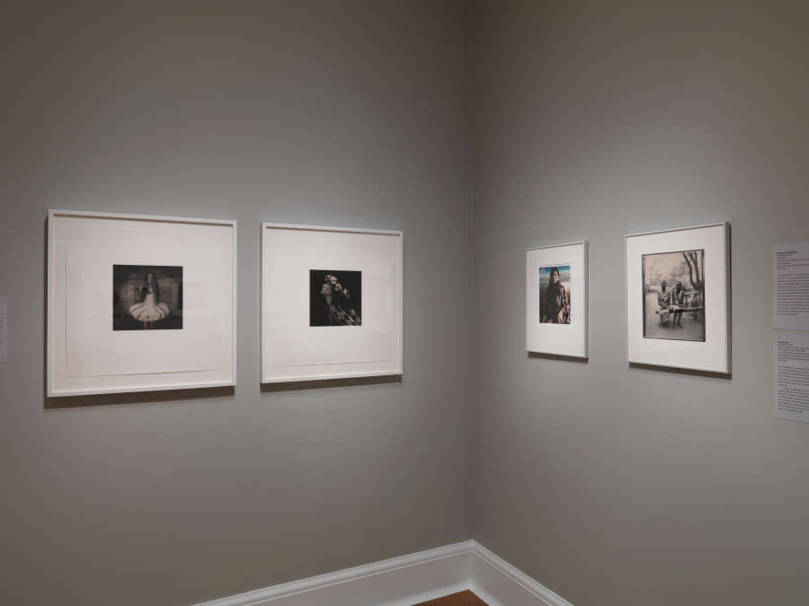 view exhibition image