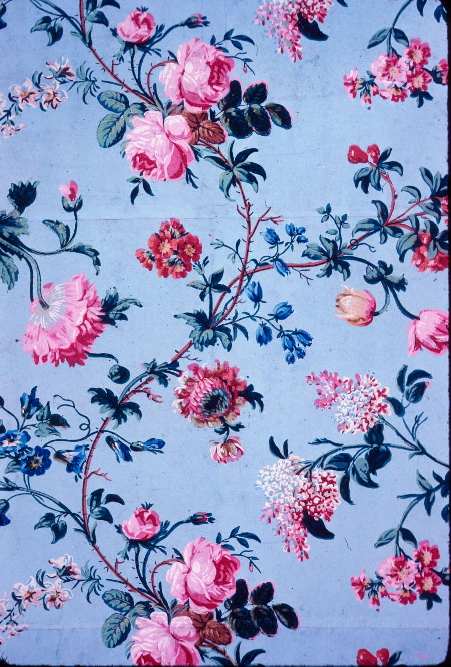 Aged, light blue wallpaper with a central, winding brown flower branch holding red, pink, blue, and cream flowers, of different species, in bloom. Various pink flowers surround the flower branch.