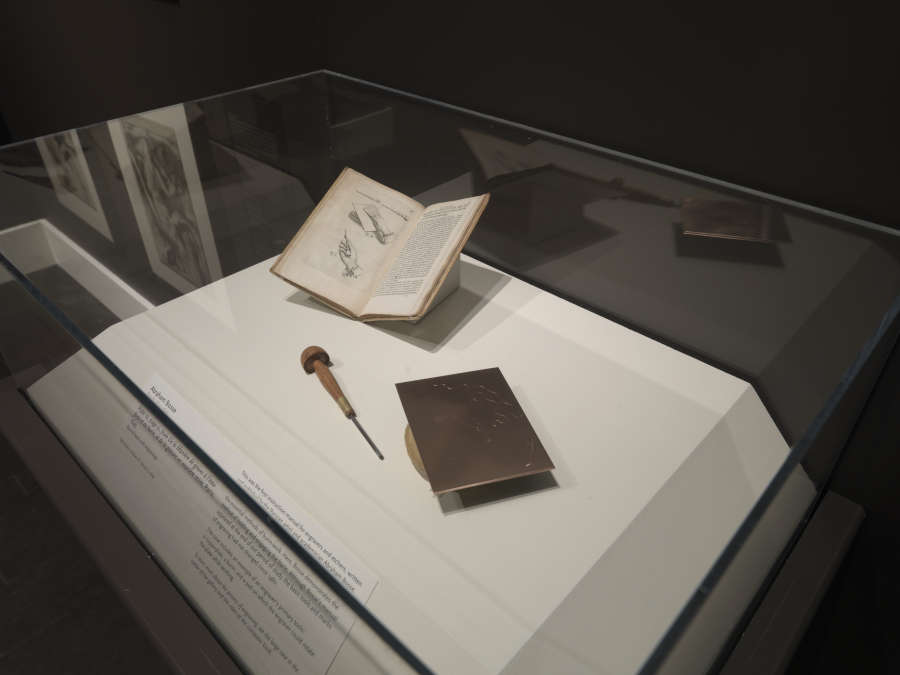 view exhibition image