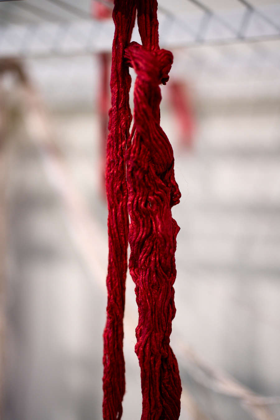 view exhibition image