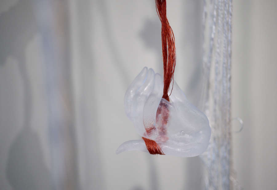 view exhibition image