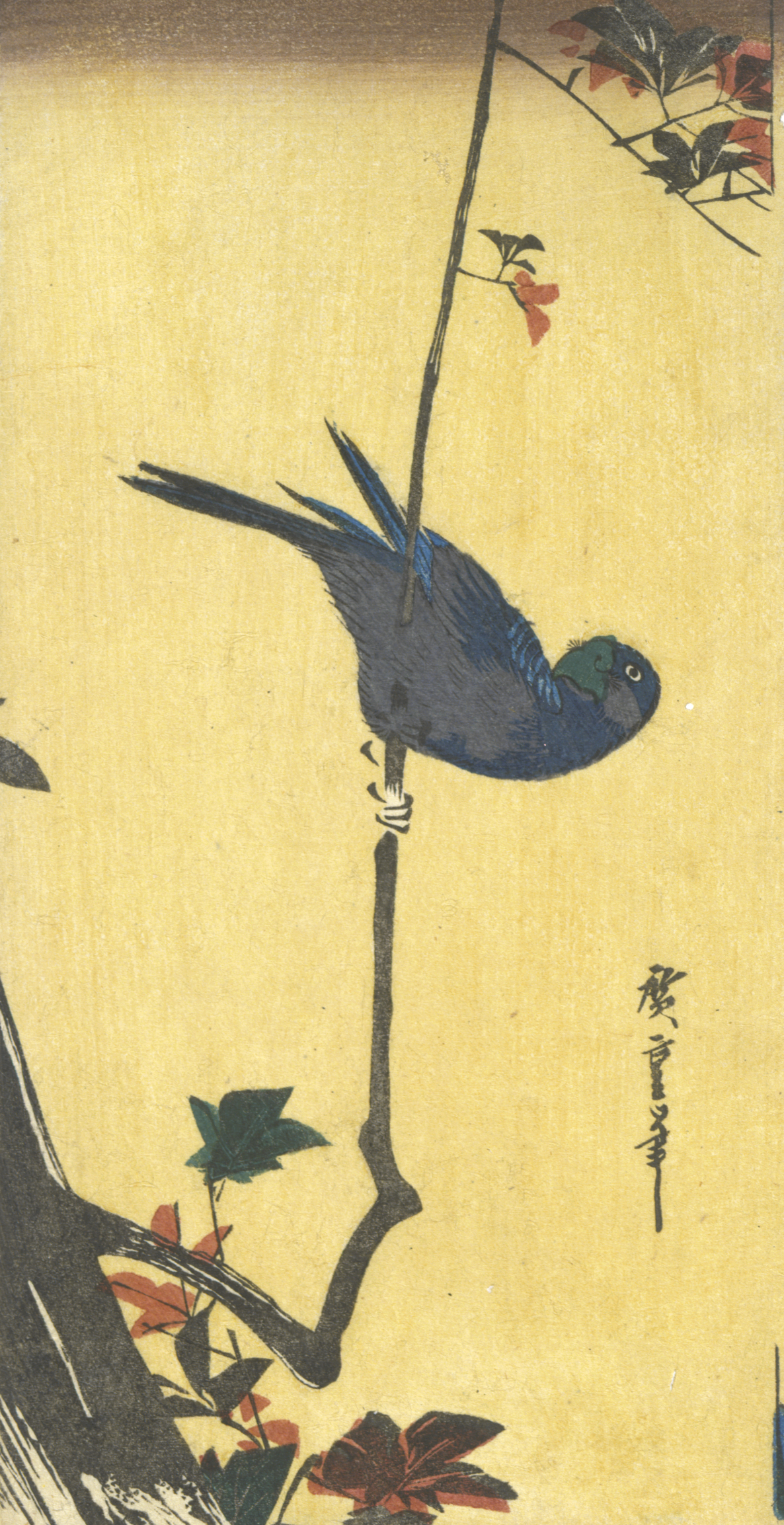 A dark blue bird clings sideways to a thin vertical branch, with scattered green leaves and red blossoms above and below against a yellow background.
