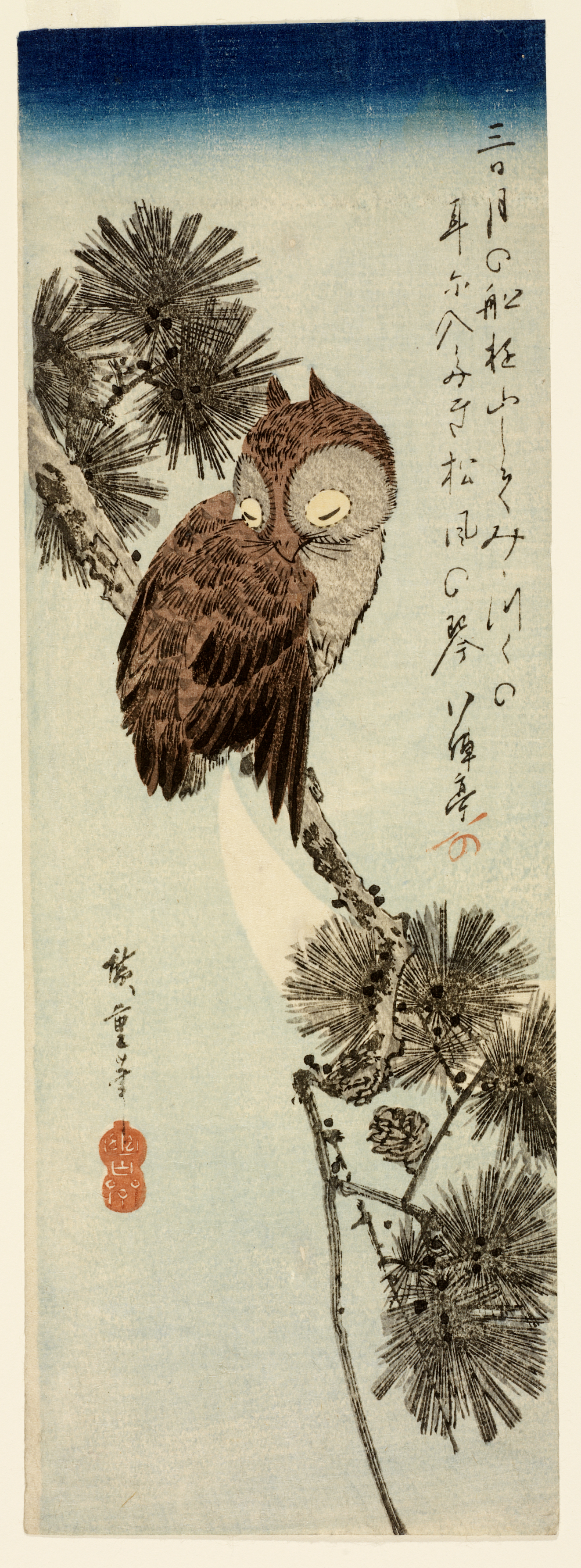 A brown owl perched on a branch among clusters of pine needles, with eyes closed against a soft blue sky. To the right is thin flowing calligraphy.