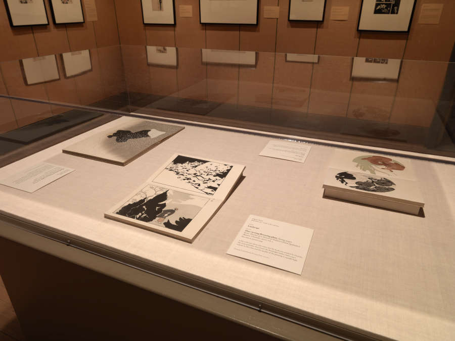 view exhibition image