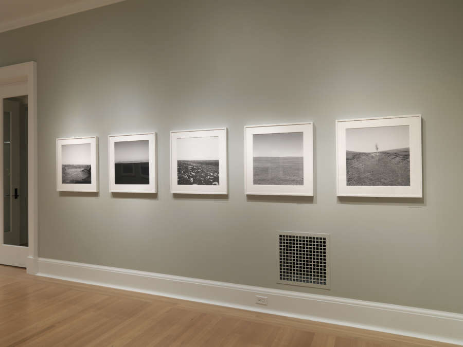 view exhibition image