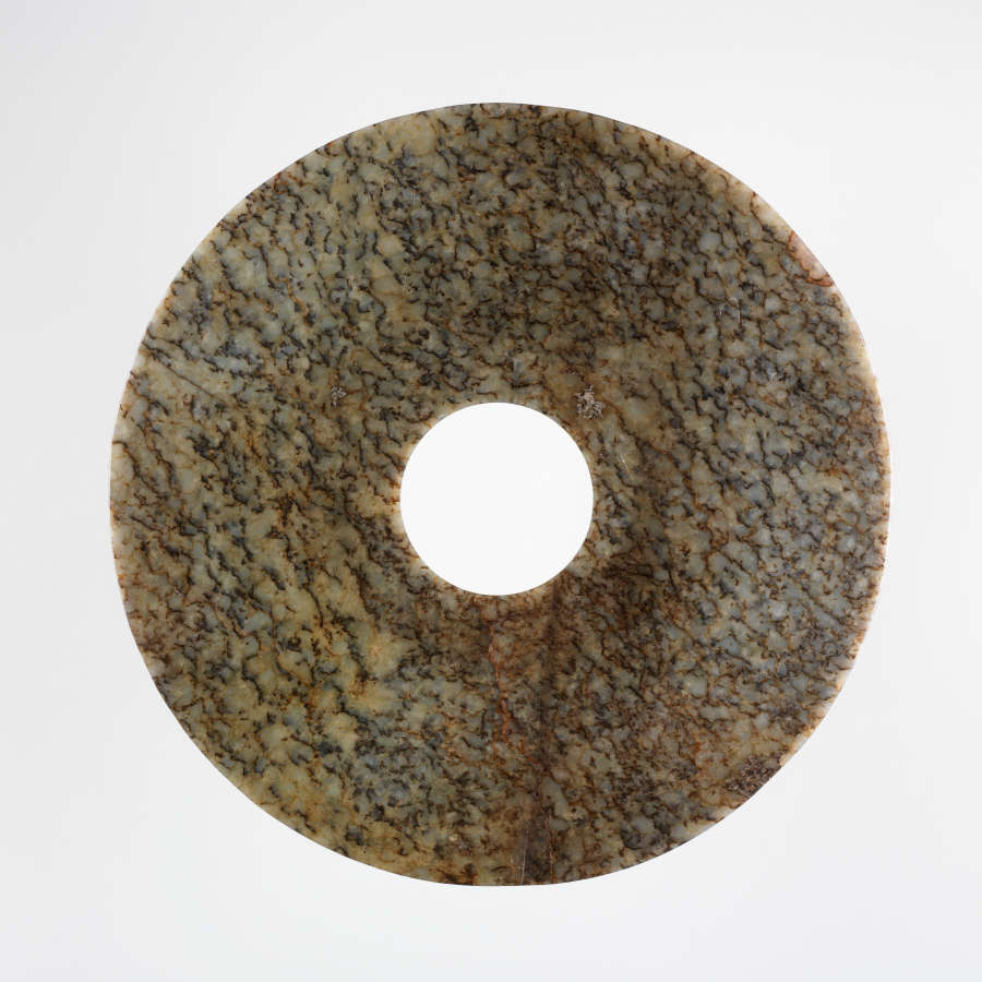 Circular object with a hole in the middle. The object has a highly textured surface, which appears as vein-like black dots against grays, browns, and greens.