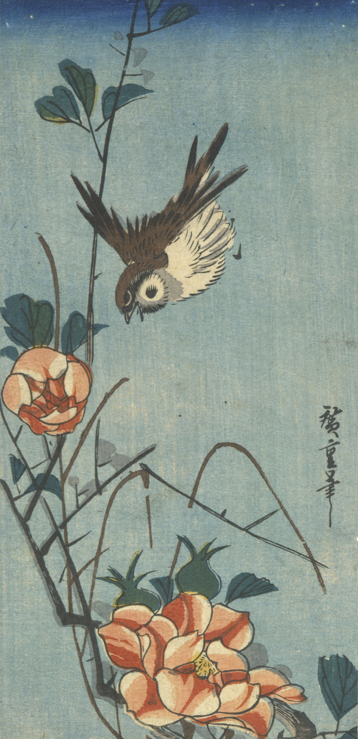 A small brown bird diving near orange blossoms with sharp branches and wide green leaves against a blue sky.