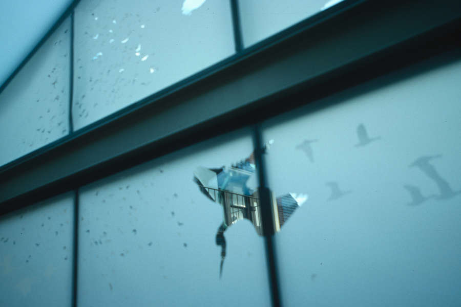 view exhibition image