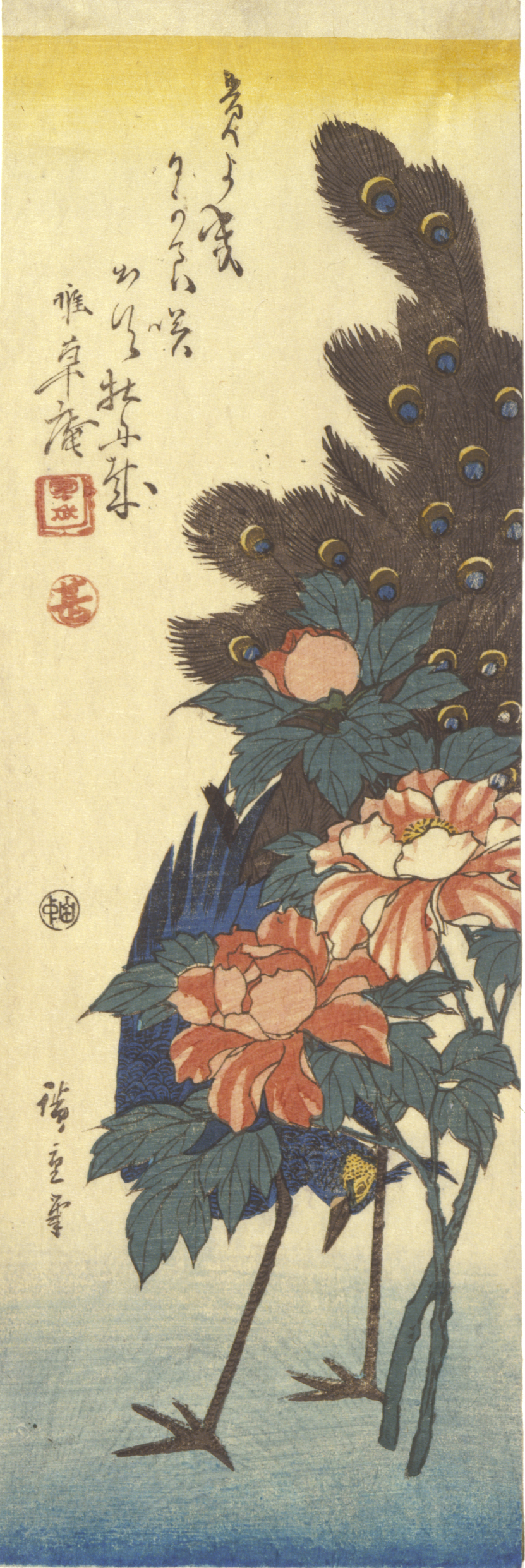 A dark blue peacock ducks its head beneath blooming red and white flowers, blending with the dark green foliage on a faded white and blue background.