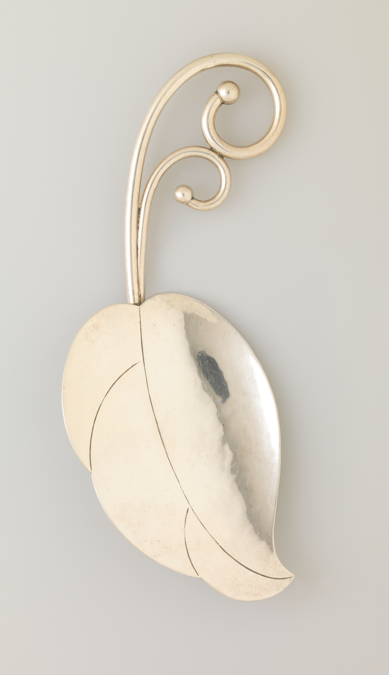 A leaf shaped ornament made of silver with two spiraling stems emerging from the top. On the right edge is a polished section which reflects the gray backdrop.