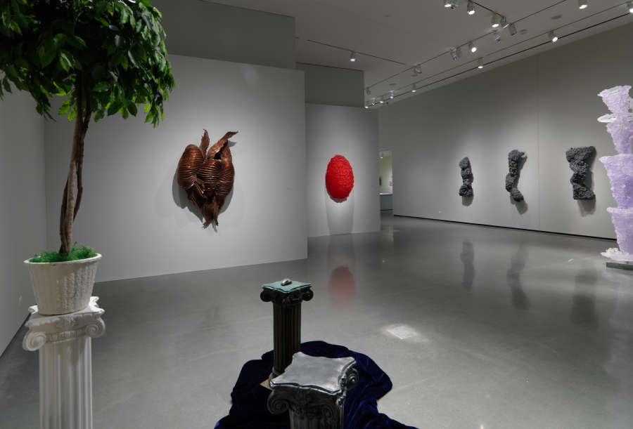 view exhibition image