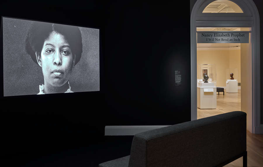 view exhibition image