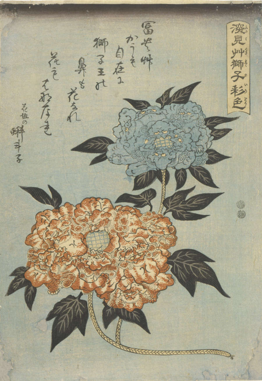 A desaturated, noticeably aged woodblock print of intricate orange and blue peonies with dark leaves. The flowers are against a textured blue background that features calligraphy script across the top.