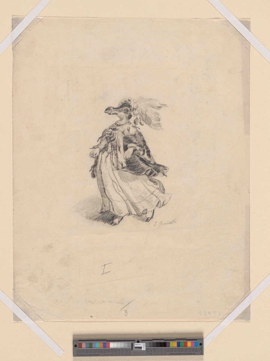 A satirical pencil drawing of an anamorphic penguin dressed as a 19th century princess in full profile. Facing left, the penguin woman wears an extravagant gown, cape and hat.