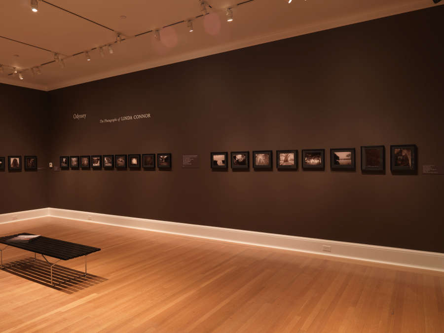 view exhibition image