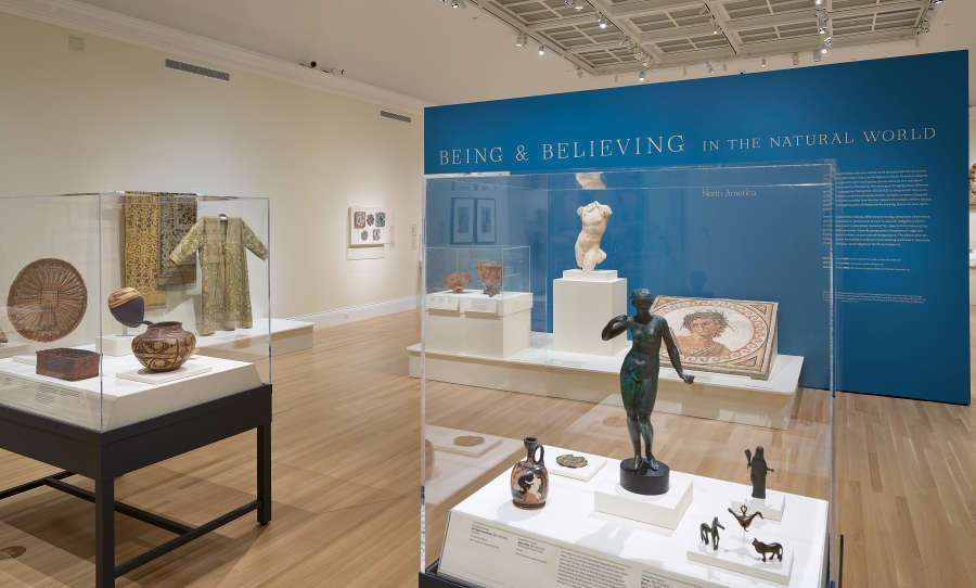 view exhibition image