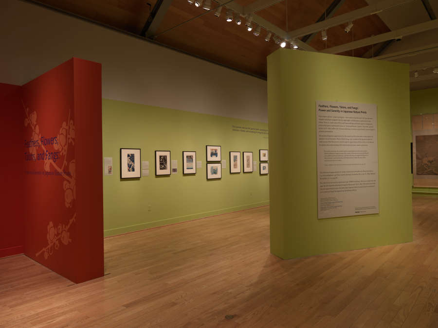 view exhibition image