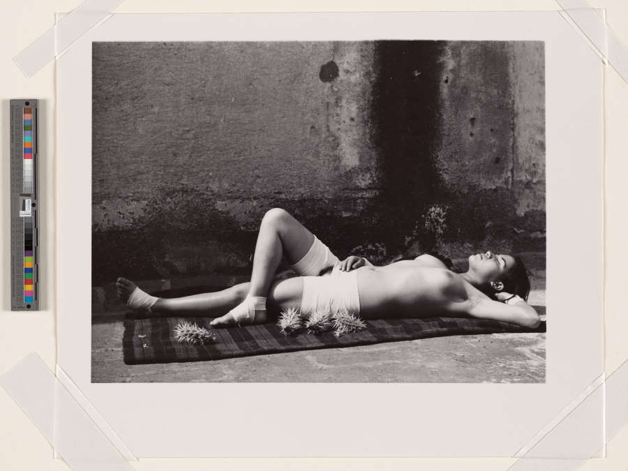 The same photo but printed in a more purplish tone and without the thin white border around it. 