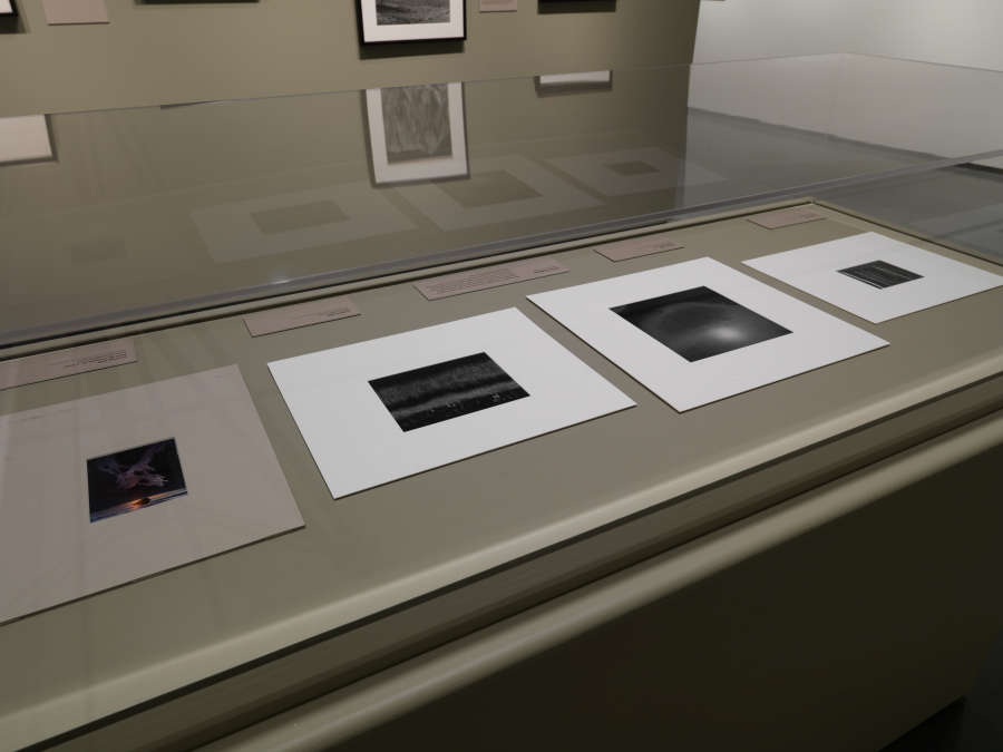 view exhibition image