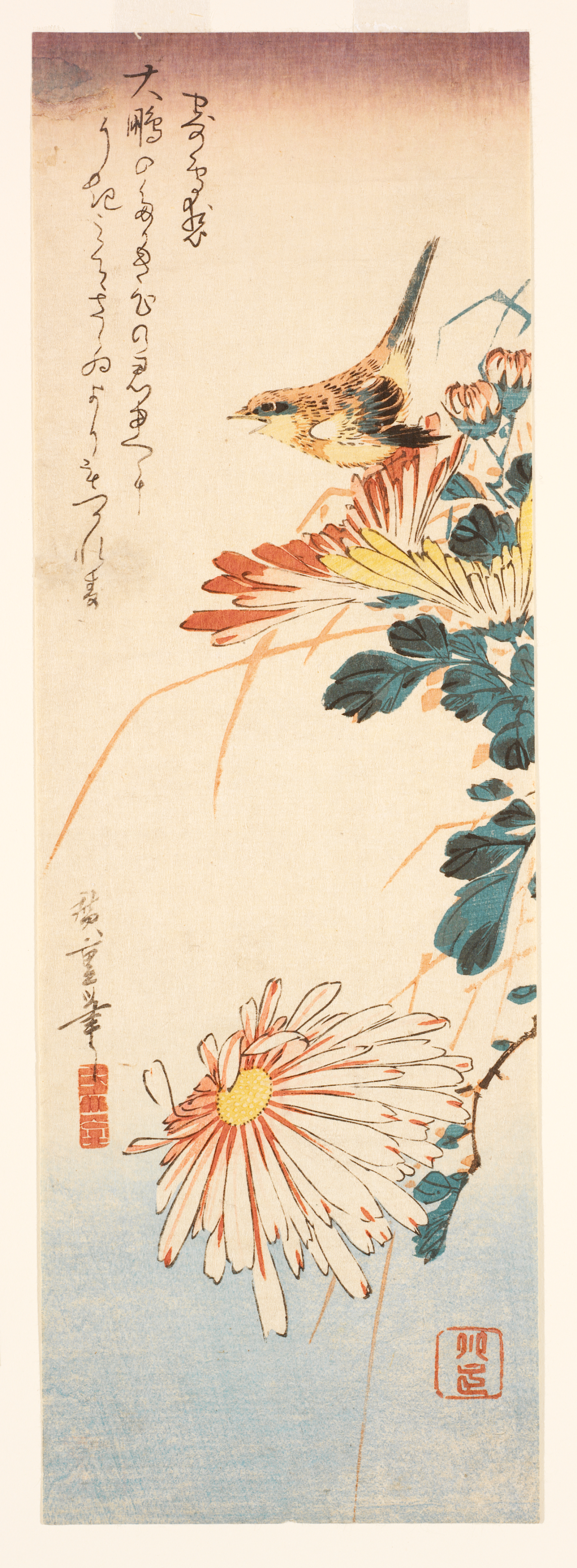 In a tall vertical frame, a small brown bird perches on light white and orange blooming flowers with rounded green leaves against a sunset sky.